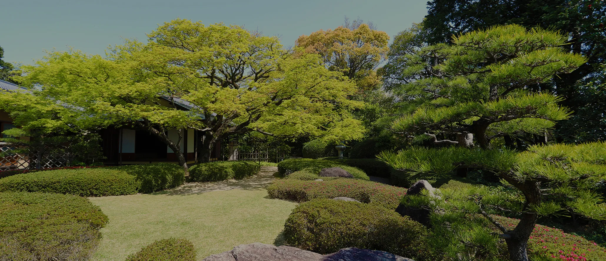応募から内定まで