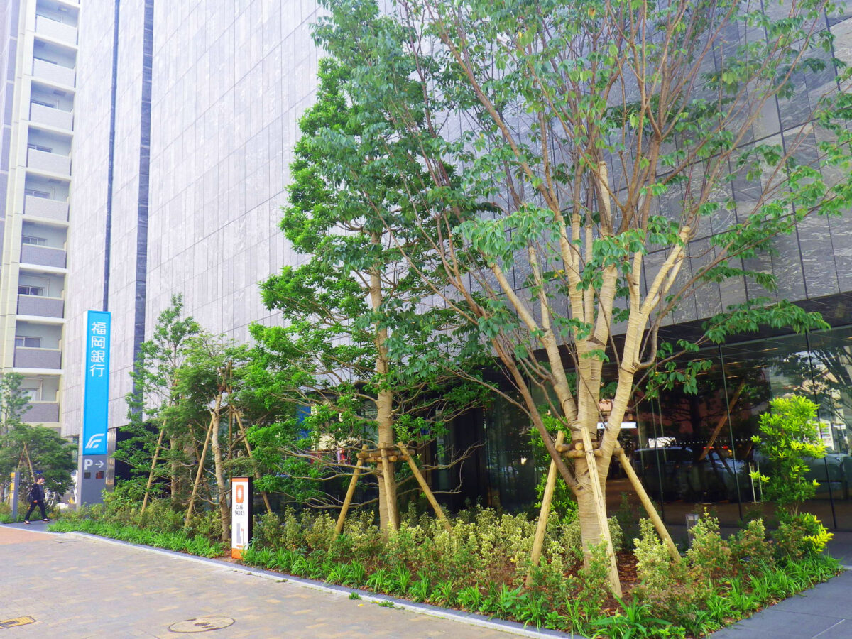 FFG北九州本社ビル